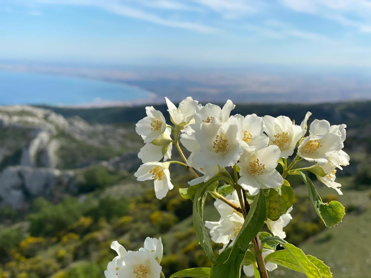Al Dolmen Bed & Breakfast Monte SantʼAngelo Екстериор снимка